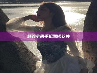 陆丰好的苹果手机赚钱软件